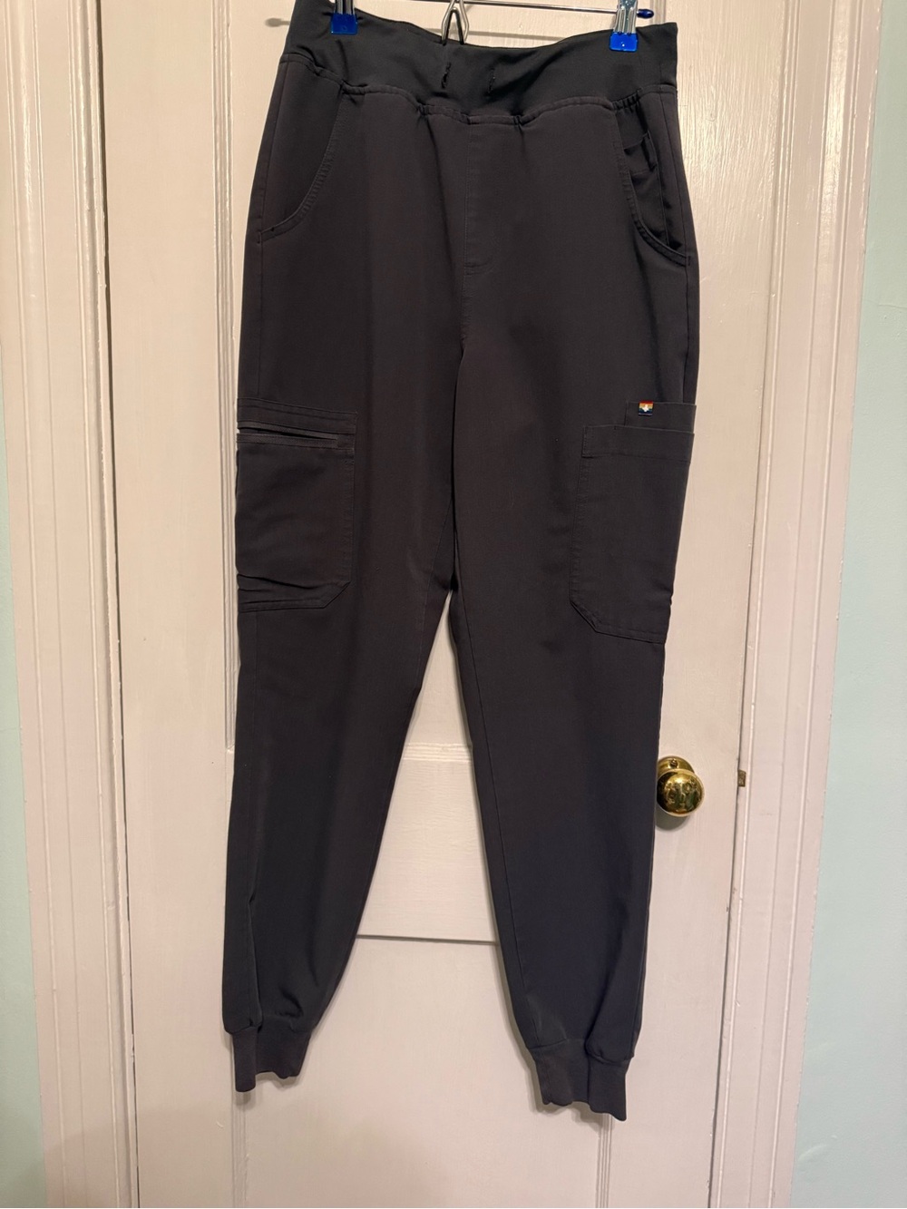 Figs PRIDE joggers